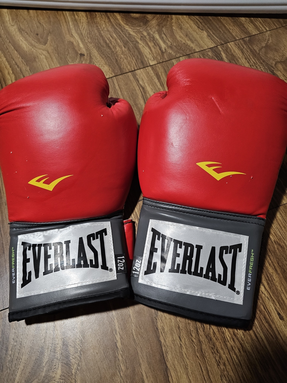 Everlast Pro Style Training Gloves in red.